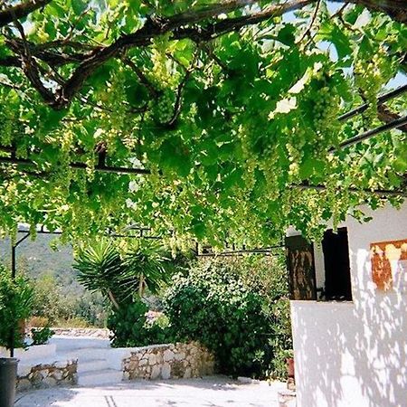 Villa Elpiniki Troulos Bagian luar foto